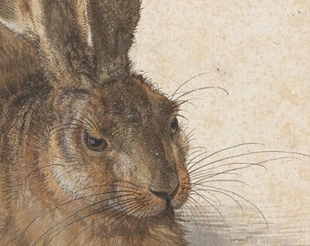 Albrecht Durer - Young Hare (1502) - Classic Painting Photo Poster Print Art Gift Museum Gallery Giclee Rabbit Animal Albert #CLOSEXP