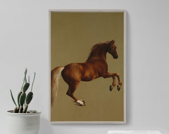 Whistlejacket by George Stubbs on Framed Canvas Pictures City Artwork Prints
