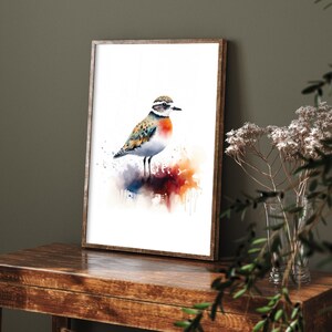 Watercolour Animal Dotterel - Art Print Poster Painting - Museum Quality Giclee Home Wall Décor