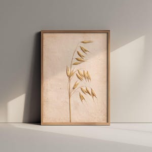 May include: A framed wall art piece featuring a single dried oat stalk centred on a textured, light beige background. The artwork is enclosed in a thin, light-toned wooden frame, showcasing the natural tan and cream hues of the botanical specimen.