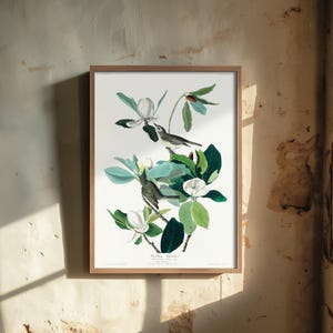 Warbling Vireo Art Print - John James Audubon Birds of America - Warbling Flycatcher Vintage Ornithology Illustration Poster