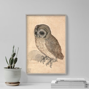 Albrecht Durer - The Little Owl (1506) - Classic Painting Photo Poster Print Art Gift Drawing Illustration
