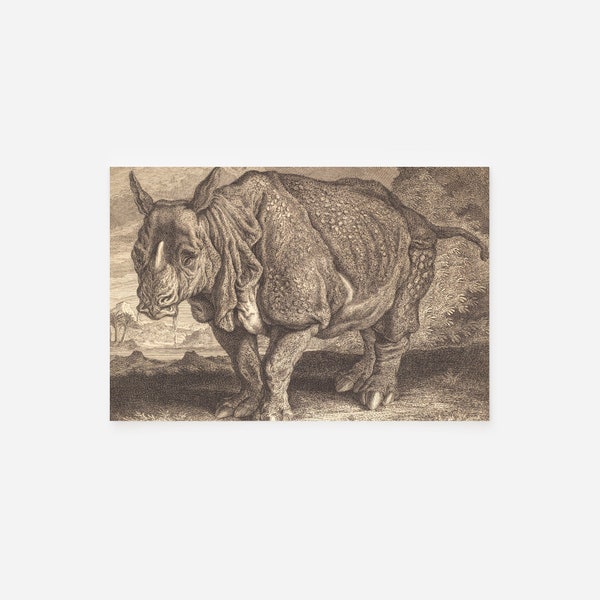 Johann Elias Ridinger - Nashorn Rhinoceros (1748) - Art Print Poster Painting - Museum Quality Giclee Home Wall Décor