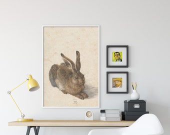アルブレヒト・デューラー - 若い野ウサギ (1502) - 古典絵画 写真
