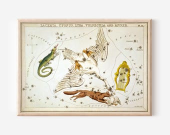 Sidney Hall - Urania's Mirror - Lacerta Cygnus Lyra Vulpecula and Answer (1825) Painting Photo Poster Print Art Gift Constellation Zodiac