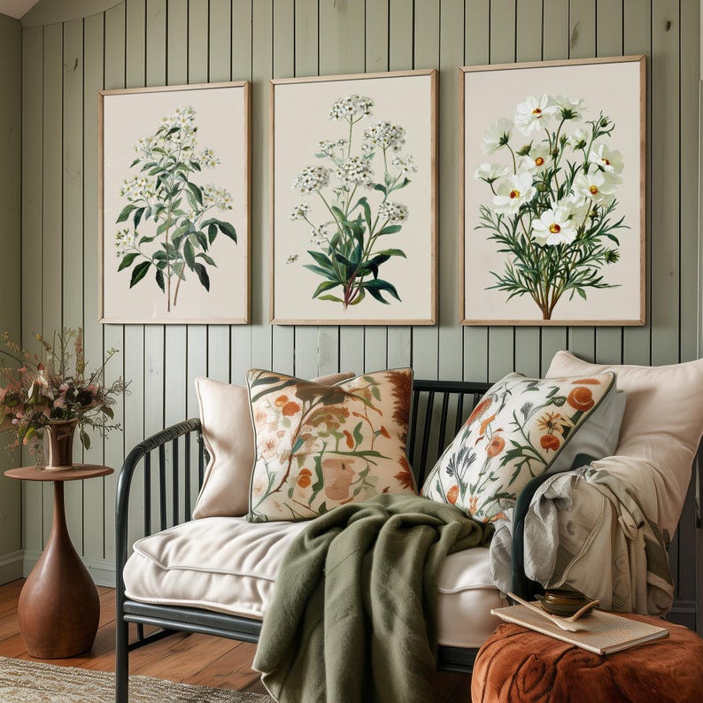 Vintage Botanical Prints Set of Three, 3 Orange Sweet Alyssum Cosmos ...