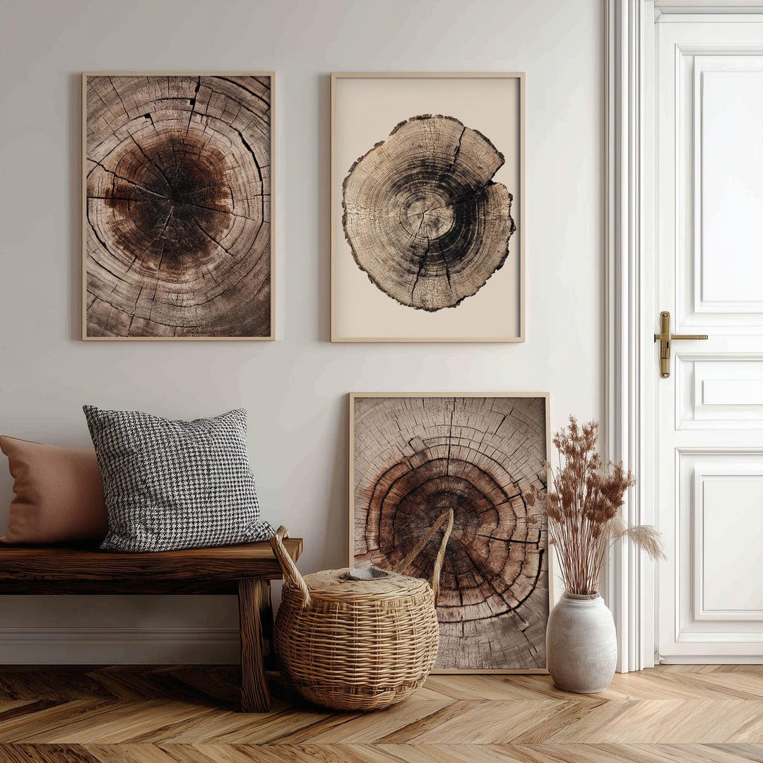 Tree Stump Rings Mural Tree Rings Stumps Set of Three Paintings V4 - 3 Natural Pattern Art ...