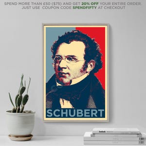 May include: Framed poster featuring a portrait of Franz Schubert with a red, blue, and yellow color scheme. The word "SCHUBERT" is displayed in blue at the bottom. The poster is in a light-colored frame.