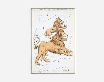 Sidney Hall - Urania's Mirror - Leo Major and Leo Minor Constellations (1825) Painting Photo Poster Print Art Zodiac Lion Tiger #ATTEMPT2