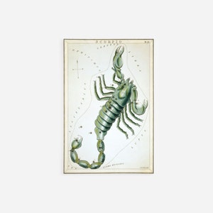シドニー・ホール - ウラニアの鏡 - 蠍座（1825）絵画 写真 ポスター プリント アート ギフト 星座 蠍座 カニ 刺し傷