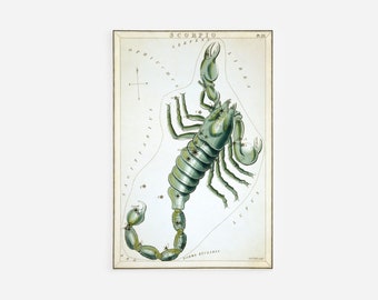 Sidney Hall - Urania's Mirror - Scorpio Constellation (1825) Painting Photo Poster Print Art Gift Zodiac Scorpion Crab Sting