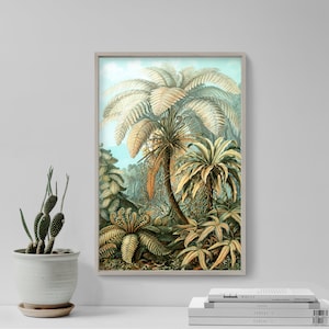 Ernst Haeckel Poster - Filicinae - Plate 92 - Art Forms in Nature (1904) - Painting Photo Print Gift Wall Home Décor Botanical