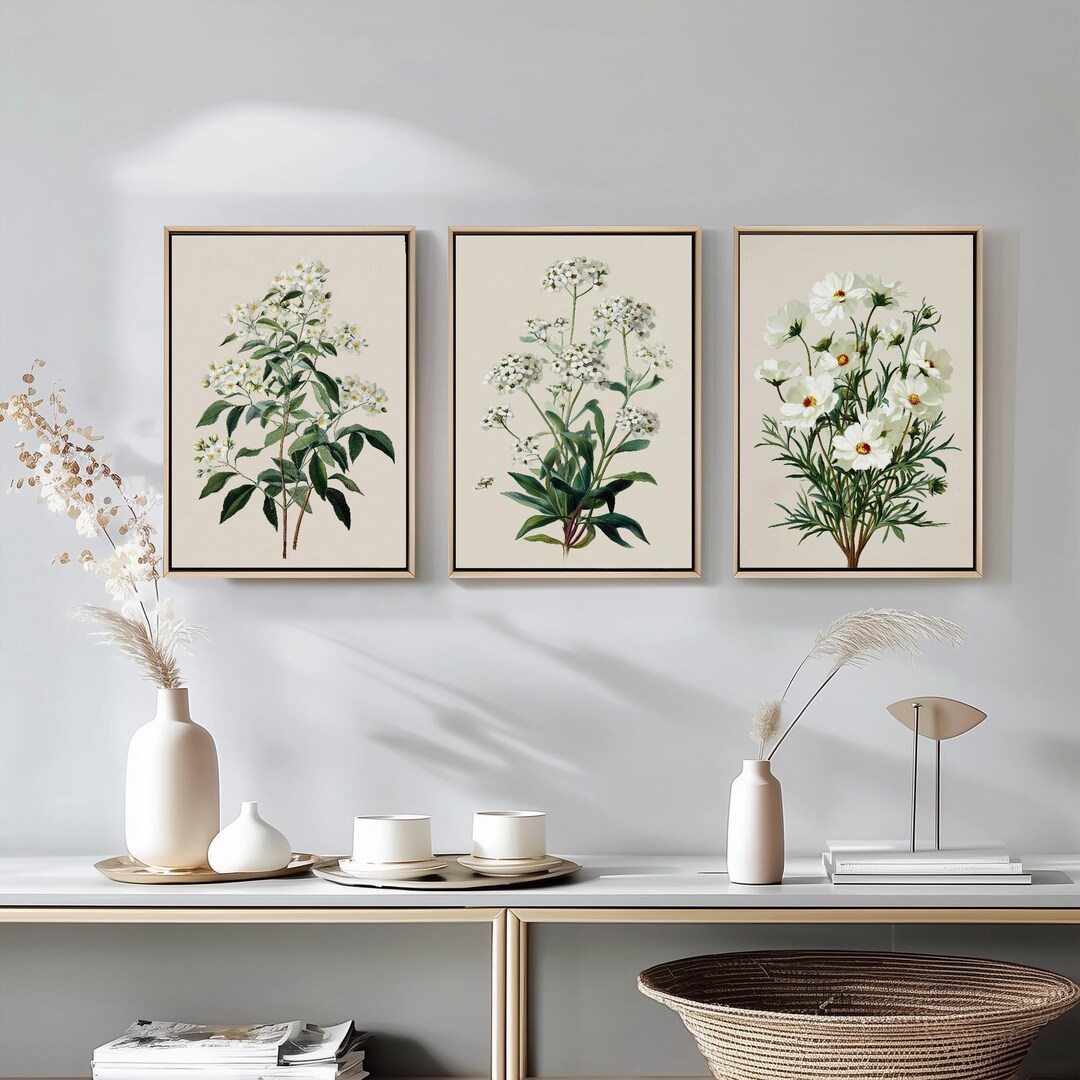 Vintage Botanical Prints Set of Three, 3 Orange Sweet Alyssum Cosmos ...