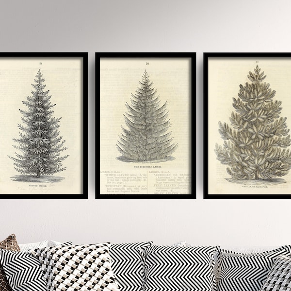 Set of Three Tree Prints - 3 Vintage Forest Illustrations - Photo Poster Wall Art Gift Giclée Décor Drawing Pencil Nordic Ellwanger & Barry