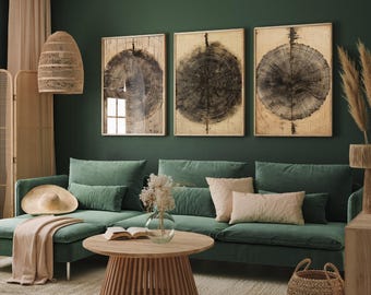 Set of Three Tree Ring Stump Paintings - 3 Natural Pattern Art Prints - Photo Poster Wall Gift Giclée Décor, Organic Wood Wooden Aged