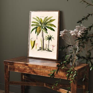 May include: A framed botanical print featuring a detailed illustration of a banana tree with green leaves and yellow bananas. The print includes scientific diagrams of the plant's parts. The frame is a dark wood color, and the print is displayed on a wooden table.