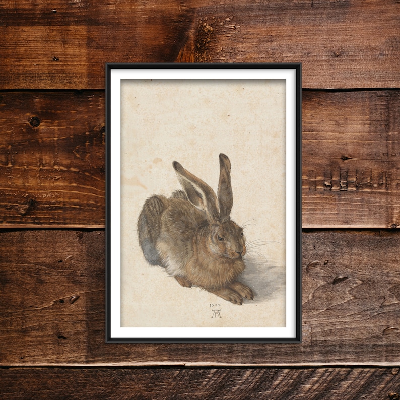 Albrecht Durer Young Hare 1502 Classic Painting Photo Etsy