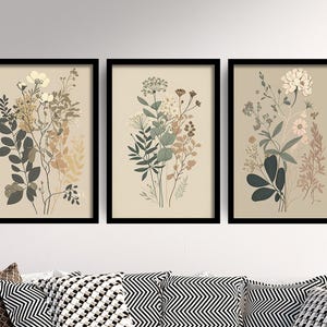 Set of Three Vintage Floral Prints - Set of 3 Flower Plants - Paintings Photo Poster Wall Art Gift Museum Giclee Daisies Dandelion Botanical