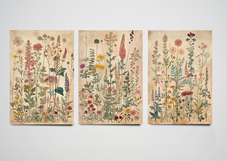 Set of Three Vintage Flower Prints V6 - Set of 3 Floral Plants - Paintings Photo Poster Wall Art Gift Museum Giclee Pink Bouquet Botanical image 2
