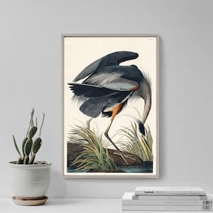 John James Audubon - Great Blue Heron / Birds of America (1827) - Classic Painting Photo Poster Print Art Gift Wall Home Decor -