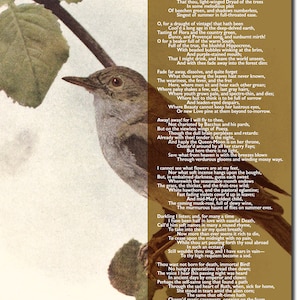 Ode to a Nightingale Poem by John Keats - Art Print Poster Gift Photo ...