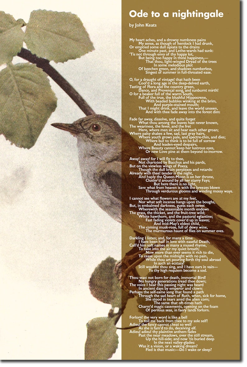Ode to a Nightingale Poem by John Keats Art Print Poster ...
