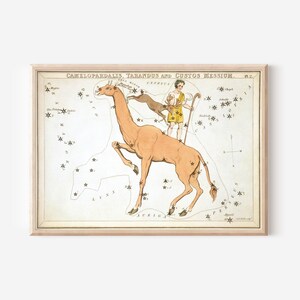 May include: A framed vintage print of a constellation map. The artwork features a camel, a man, and a dog, with star clusters and the text "CAMELOPARDALIS, TARANDUS AND CUSTOS MESSIUM." The color palette includes beige, brown, and cream.