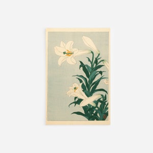 Ohara Koson - Lilies (1925) - Classic Painting Photo Poster Print Art Gift Wall Home Decor - Japan Ukiyo-e Flowers Petals Lily Bush