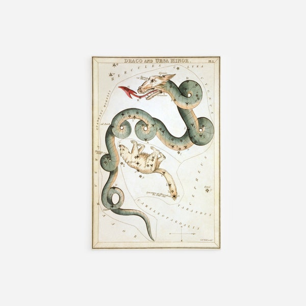 Sidney Hall - Urania's Mirror - Draco and Ursa Minor Constellation (1825) Painting Photo Poster Print Art Gift Constellation Zodiac Snake