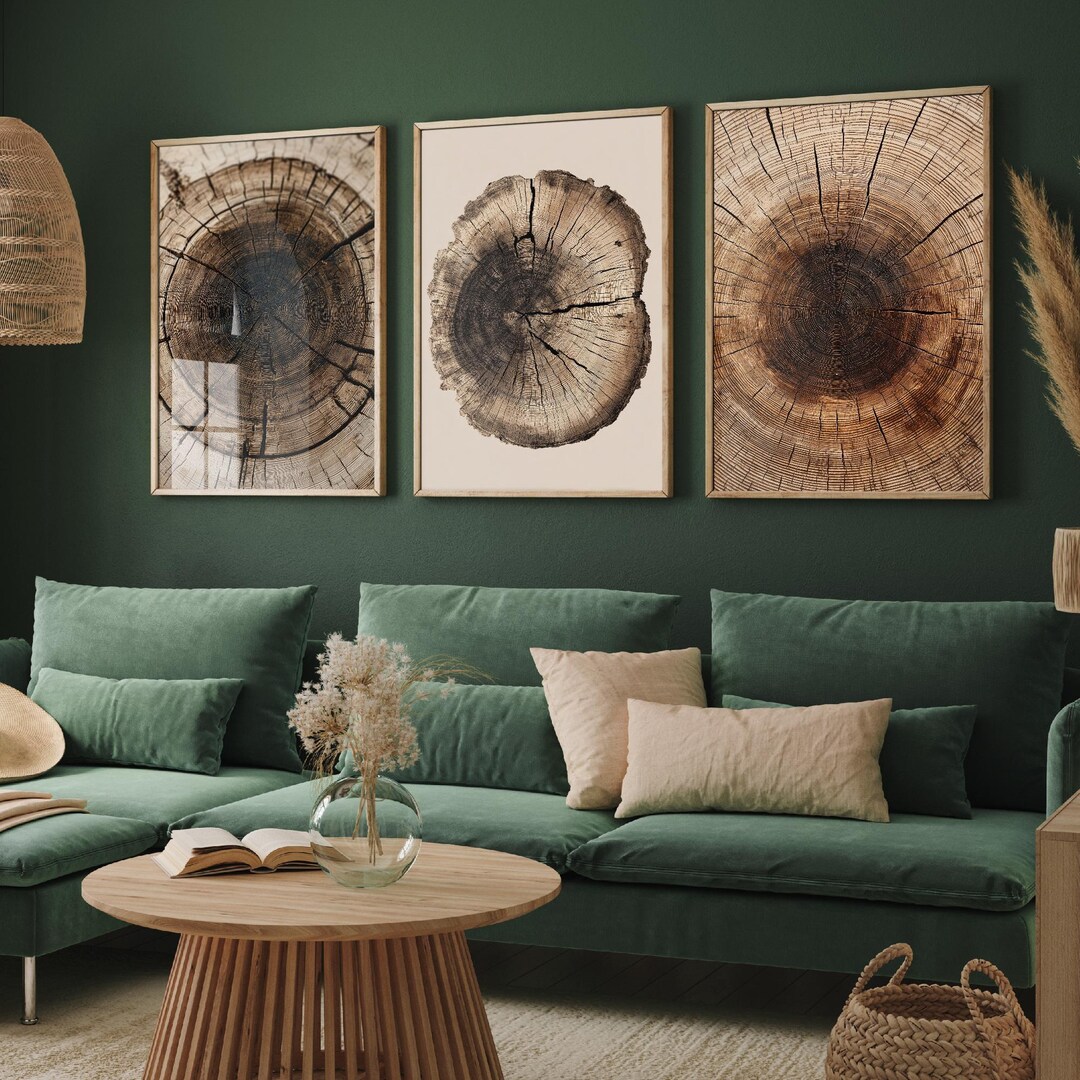 Tree Rings Stumps Set of Three Paintings V6 - 3 Natural Pattern Art ...