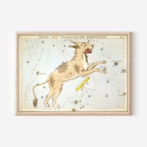 シドニー ホール - ウラニアの鏡 - オオヤマネコと望遠鏡ヘルシリウス星座 (1825) 絵画 写真 ポスター プリント アート ギフト 星座 #ATTEMPT2