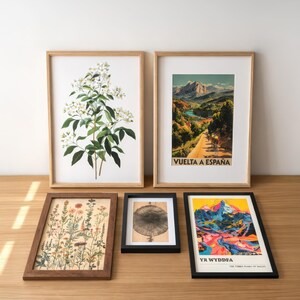 a collection of framed artworks and botanical prints arranged on a wooden surface.
