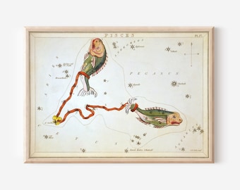 Sidney Hall - Urania's Mirror - Pisces (1825) Painting Photo Poster Art Print Giclée Gift Zodiac Constellation Water Sign #ATTEMPT2