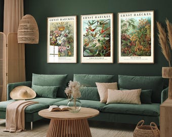 The Botanist Collection - Set of Three Vintage Ernst Haeckel Botanical Prints - 3 Nature Paintings - Photo Poster Wall Art Gift Giclée