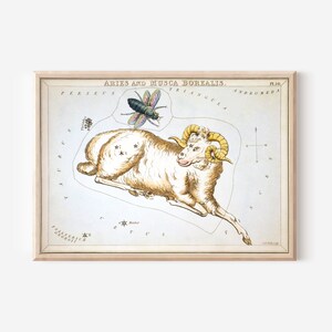シドニー ホール - ウラニアの鏡 - 牡羊座とムスカ ボレアリス 星座 (1825) 絵画 写真 ポスター プリント アート ギフト 星座 十二支