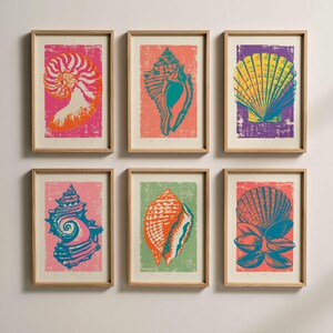May include: A set of six framed art prints featuring stylised seashell illustrations in vibrant colours. Each print displays a different shell variety, including nautilus, conch, and scallop shapes, set against solid, contrasting backgrounds.