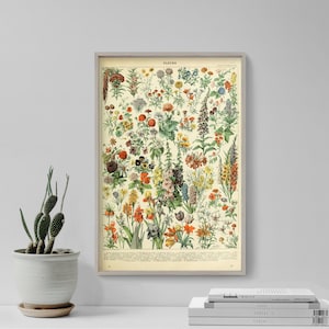 May include: A framed botanical print featuring a variety of colorful flowers. The print has a beige background and is labeled "FLEURS" at the top. The flowers are in shades of red, yellow, orange, purple, and green. The print is in a light gray frame.