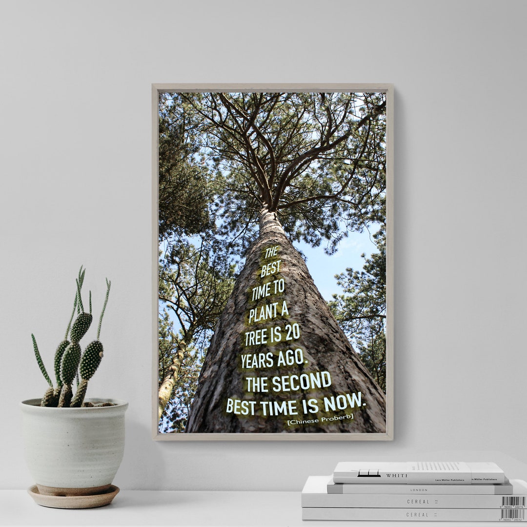 Chinese Proverb Quote Poster 