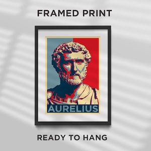 May include: Framed print of a portrait of Marcus Aurelius in a red, white, and blue color scheme. The print has the text "AURELIUS" at the bottom.