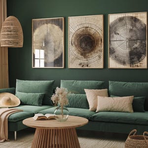 Tree Rings Stumps Set of Three Paintings - 3 Natural Pattern Art Prints - Photo Poster Wall Gift Giclée Décor, Organic Wood Wooden Aged