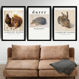 Animal Prints for Nursery - 3 Classic Albrecht Durer Drawings - Painting Poster Wall Art Gift Young Hare Two Squirrels Set of Three #V2