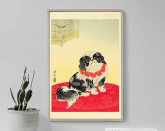 May include: A black and white Japanese Chin dog wearing a red ruffled collar sits on a red cushion with a floral pattern. The dog is looking directly at the viewer. A birdcage with a green bird is in the background.