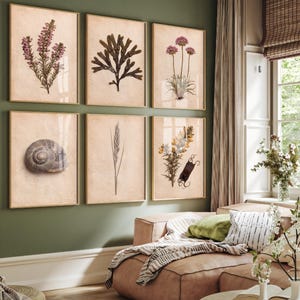 May include: A set of six framed wall art prints featuring botanical and natural history illustrations on a beige background. The prints depict purple heather, dark seaweed, pink flowers, a spiral snail shell, a single blade of grass, and yellow gorse.