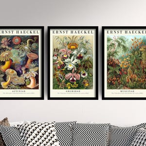 ヴィンテージフラワープリント3枚セット - 花柄植物3点セット - 絵画