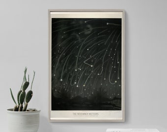 Etienne Leopold Trouvelot - The November Meteors (1881) Art Print Photo Poster Gift Wall Home Decor Giclée Museum Astronomy Asteroid Stars