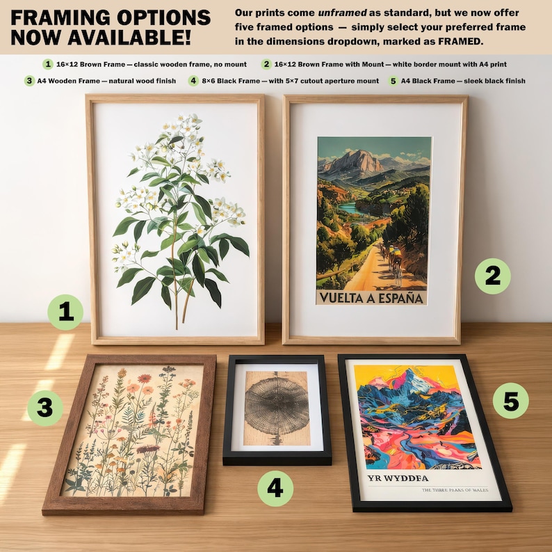 a collection of framed artworks and prints, including botanical illustrations, landscape scenes, and abstract art, arranged on a wooden surface.