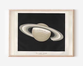 Etienne Leopold Trouvelot - The Planet Saturn Observed on November 30 (1874) Art Print Photo Poster Gift Home Decor Giclée Museum Astronomy