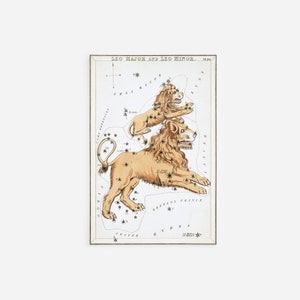 シドニー・ホール - ウラニアの鏡 - 獅子座大と獅子座小の星座 (1825) 絵画 写真 ポスター プリント アート 星座 ライオン トラ #ATTEMPT2