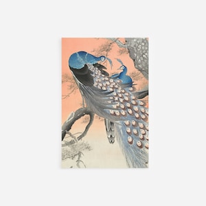 Ohara Koson - Two Peacocks on Tree Branch (1922) - Classic Painting Photo Poster Print Art Gift Wall Home Decor - Ukiyo-e Japan Feathers