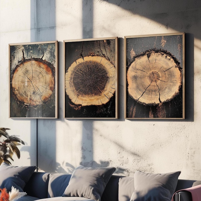 Tree Rings Stumps Set of Three Paintings V7 - 3 Natural Pattern Art ...